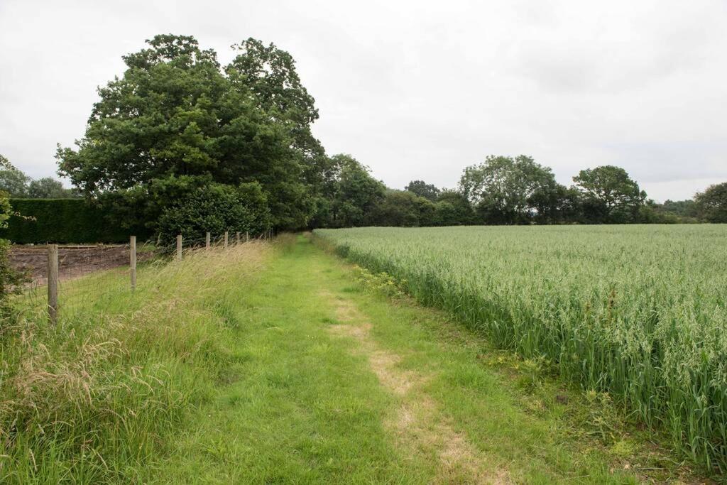 Immaculate Barn Annexe Close To Stansted Airport Great Dunmow Ngoại thất bức ảnh